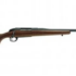 .243 Winchester Caliber Guide
