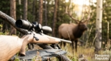 Elk Hunting Rifles Guide