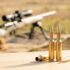 7mm PRC Caliber Guide