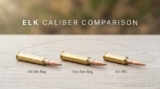 Elk Hunting Caliber Comparison: 6.5 CM vs .308 vs 7mm PRC