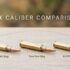 Mountain / Backcountry Hunting Rifles