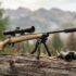 Long-Range Shooting Guide (500–1,000 yards)