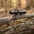 Savage 110 Series: Complete Guide