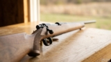 Savage 110 Series: Complete Guide