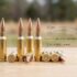 Ruger Hawkeye African .308 Winchester Review
