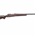 Small Game Hunting Rifles