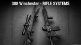 .308 Winchester Caliber Guide
